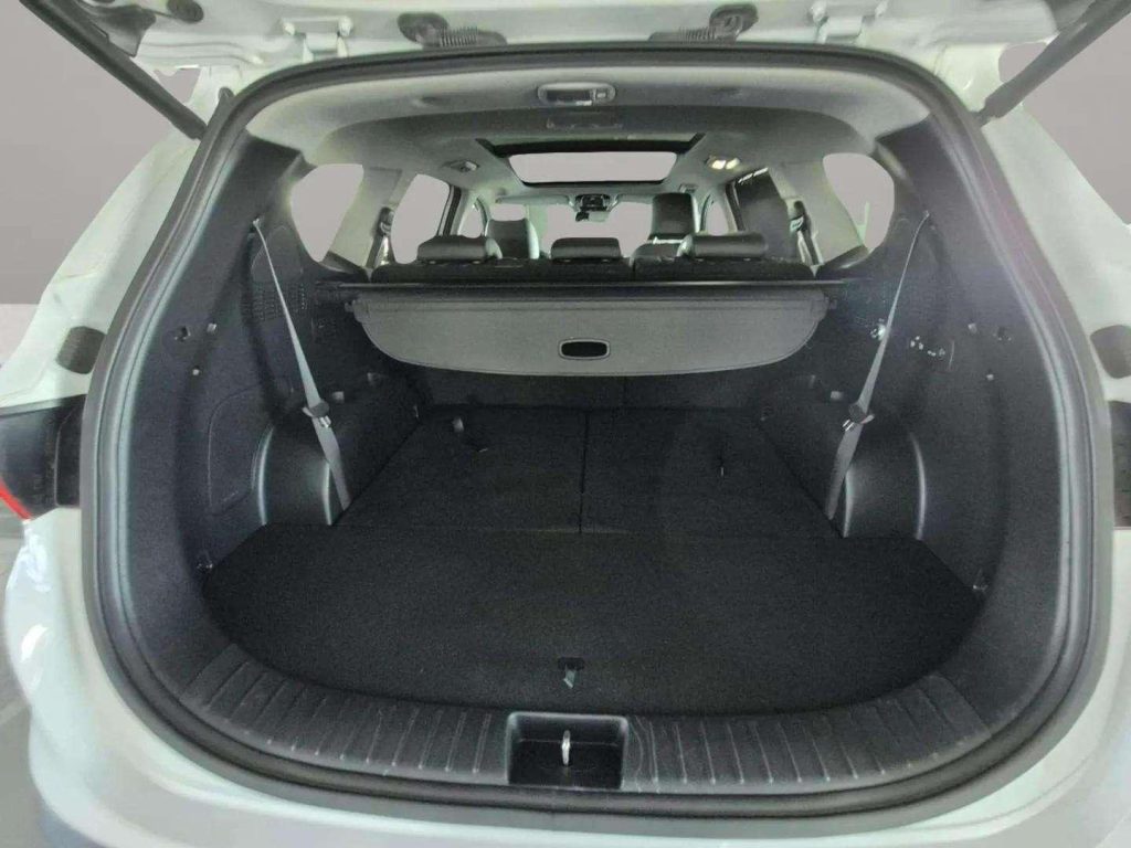 HYUNDAI SANTA FE 1.6 TGDi HEV Tecno Auto 4×2