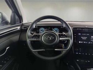 Hyundai Tucson 1.6 TGDI 169kW (230CV) HEV Maxx Auto