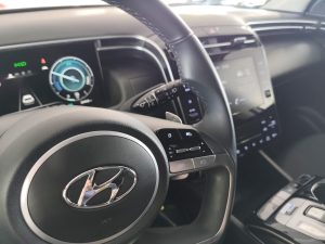Hyundai Tucson 1.6 TGDI 169kW (230CV) HEV Maxx Auto