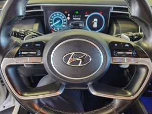 Hyundai Tucson 1.6 CRDI 100kW (136CV) 48V Tecno DCT 2C